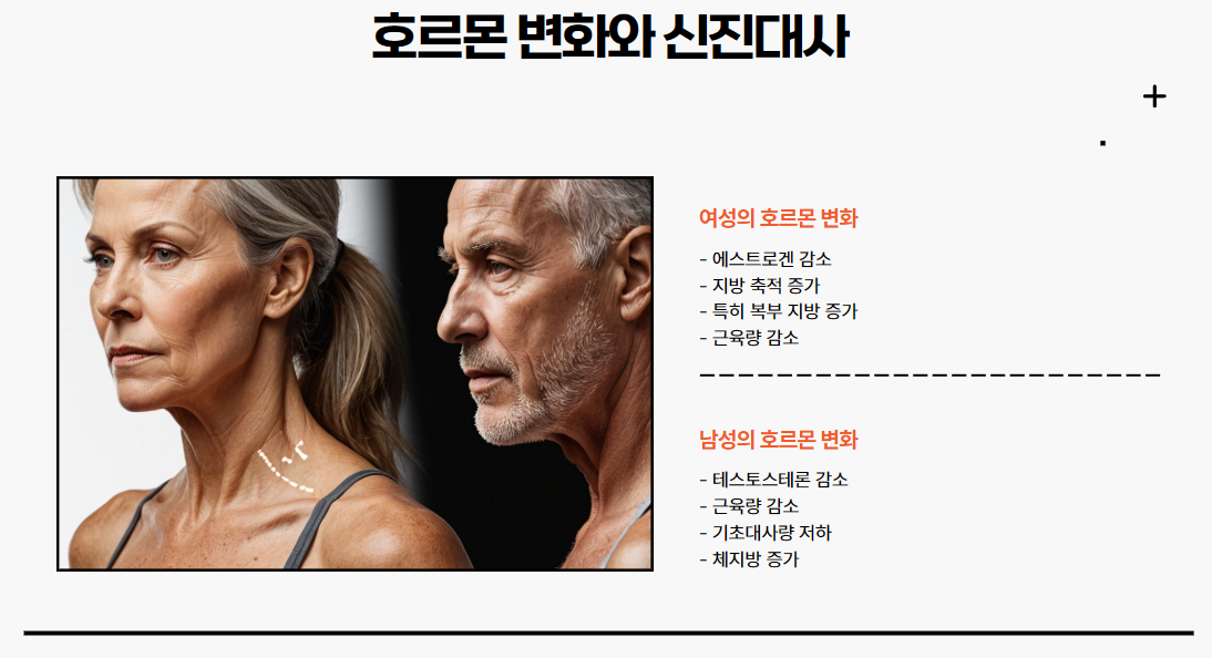 호르몬 변화와 신진대사