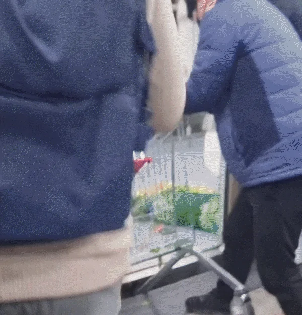 카트를 빼는 과정에서 스파크가 튀는 장면 ( 자료 출처 : 뉴스1 )