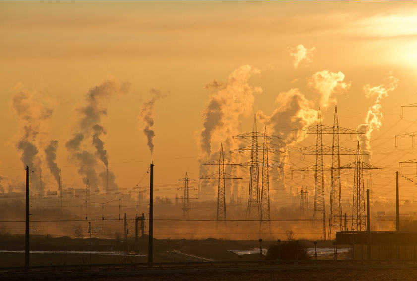 지구를 갉아먹는 소비사회: 환경파괴의 구조적 원인 분석