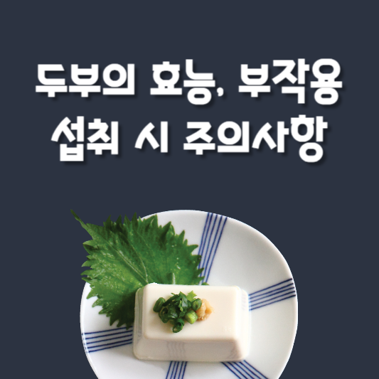 두부의 효능과 부작용, 주의사항