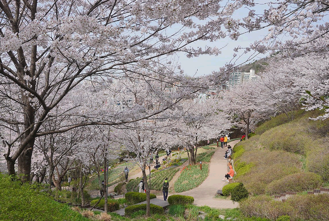서대문 안산 도시 자연 공원
