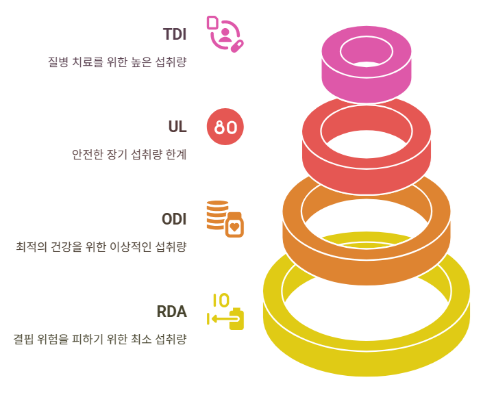 비타민 B 섭취량 계층 구조