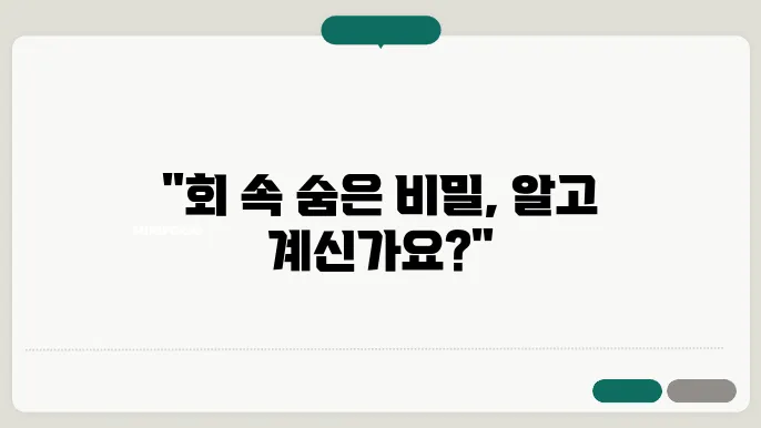 회 성분