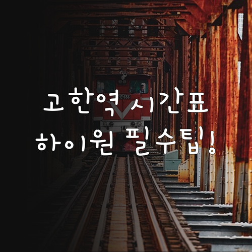고한역 열차 운행 시간표와 하이원 리..