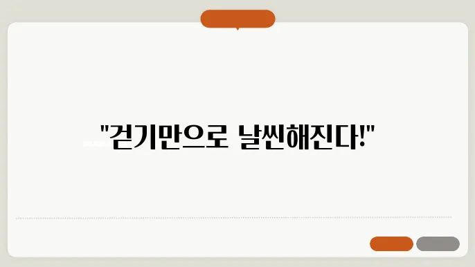 체중 감량을 위한 효과적인 워킹 프로그램
