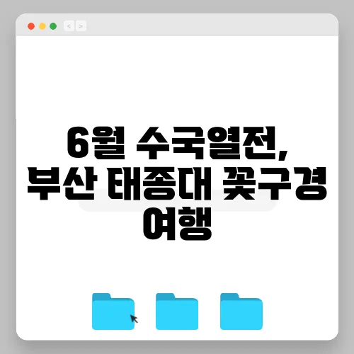 6월 수국열전, 부산 태종대 꽃구경 여행