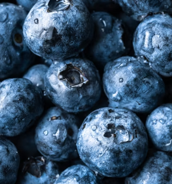 치매에 좋은 음식 영양제 식단