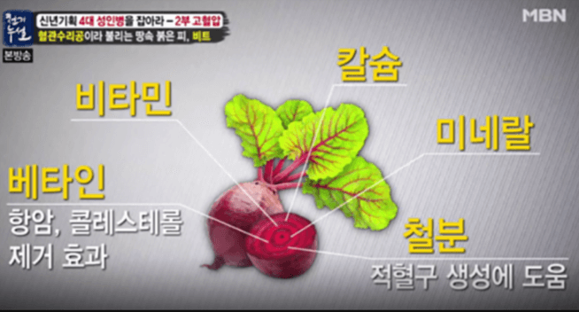 비트효과TV