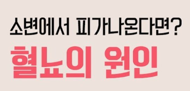 혈뇨가 나오는 이유 12가지 총정리 섬네일