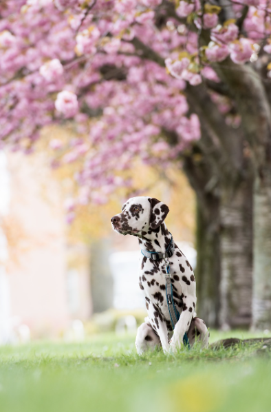 스마트폰 필터를 이용하거나 세로로 찍기4