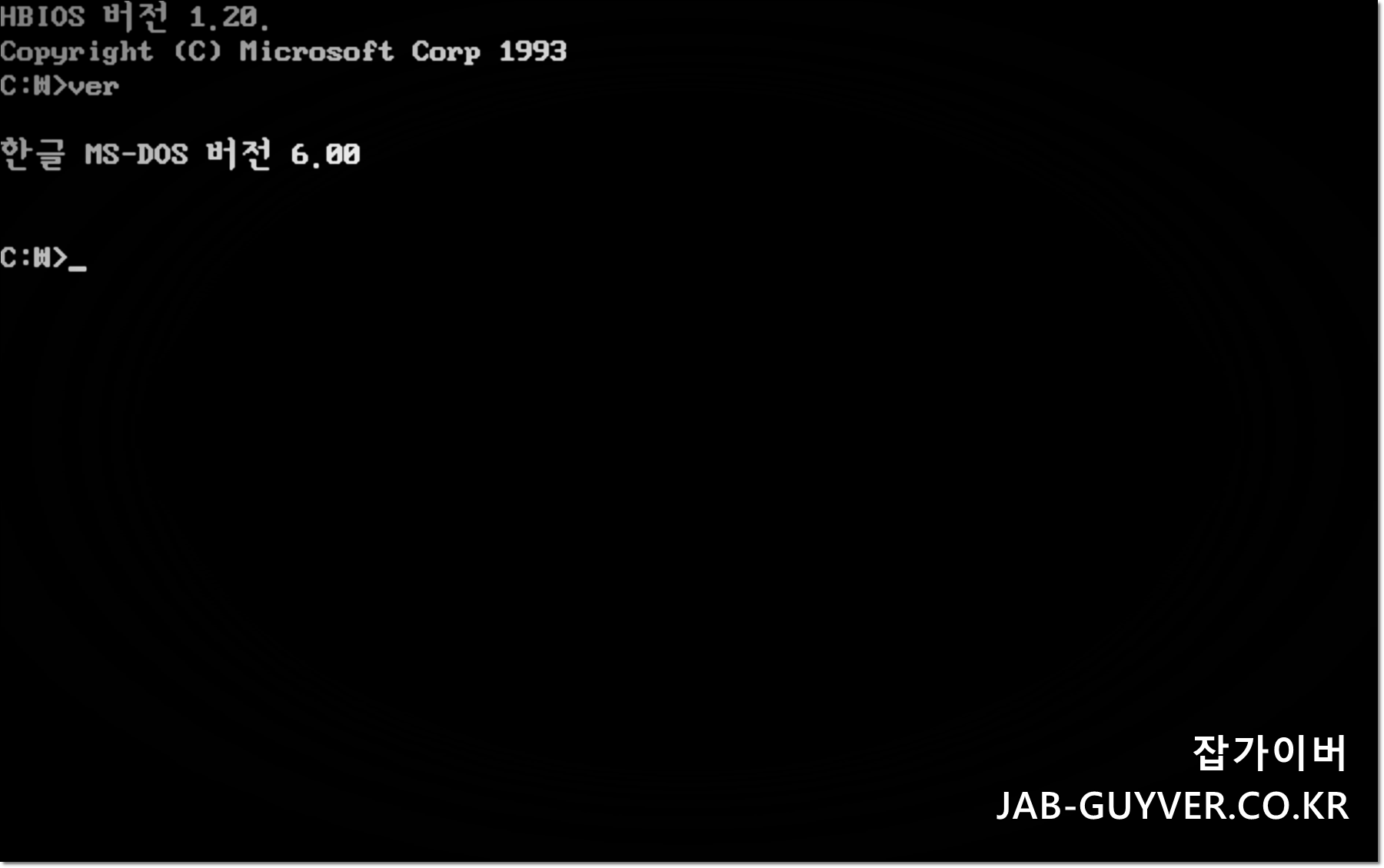 VER 명령으로 MS-DOS 6.00 버전 확인