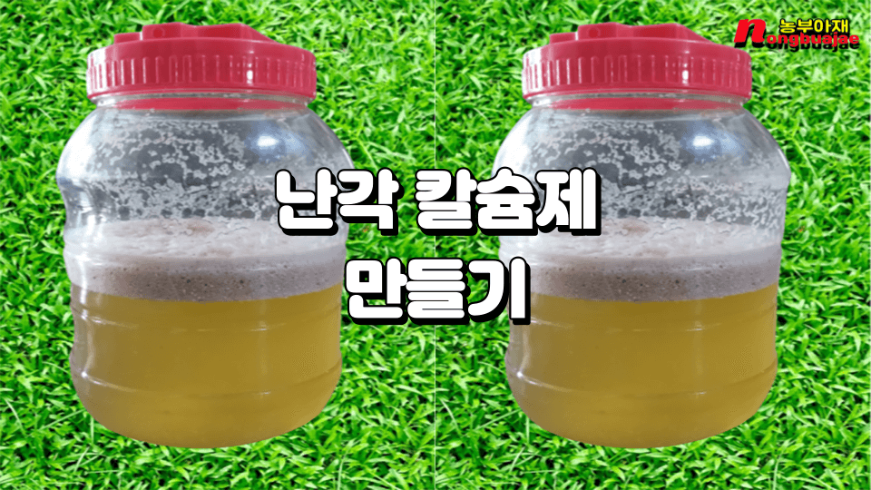 난각 칼슘제 만들기