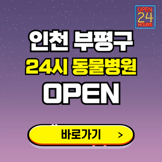인천 부평구 24시 동물병원 진료하는 곳 ❘ 설날 휴일 야간 심야 문여는곳 찾기 ❘ 응급진료