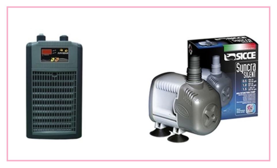 여름철 어항 온도 관리 방법