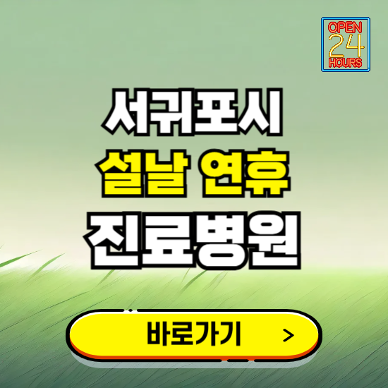 서귀포시 설날 연휴 진료병원 찾기 ❘ 24시 응급 야간 심야 문여는 병원