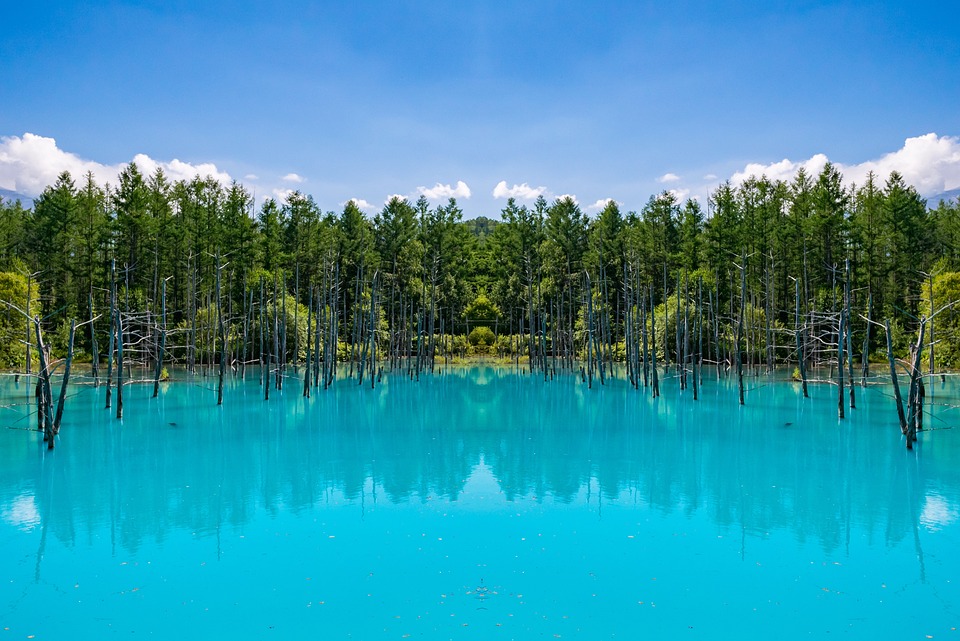 일본 비에이 여행 사진