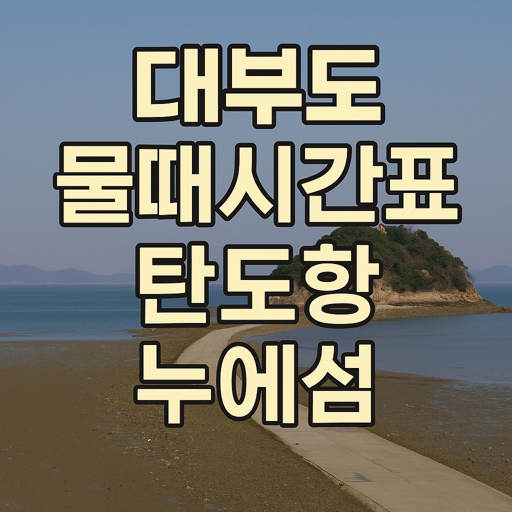 5월 대부도 탄도항 누에섬 물때 시간표 바닷길 열리는 시간