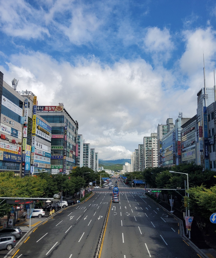 대구 근교의 전통과 현대 여행: 근대 골목과 동화사