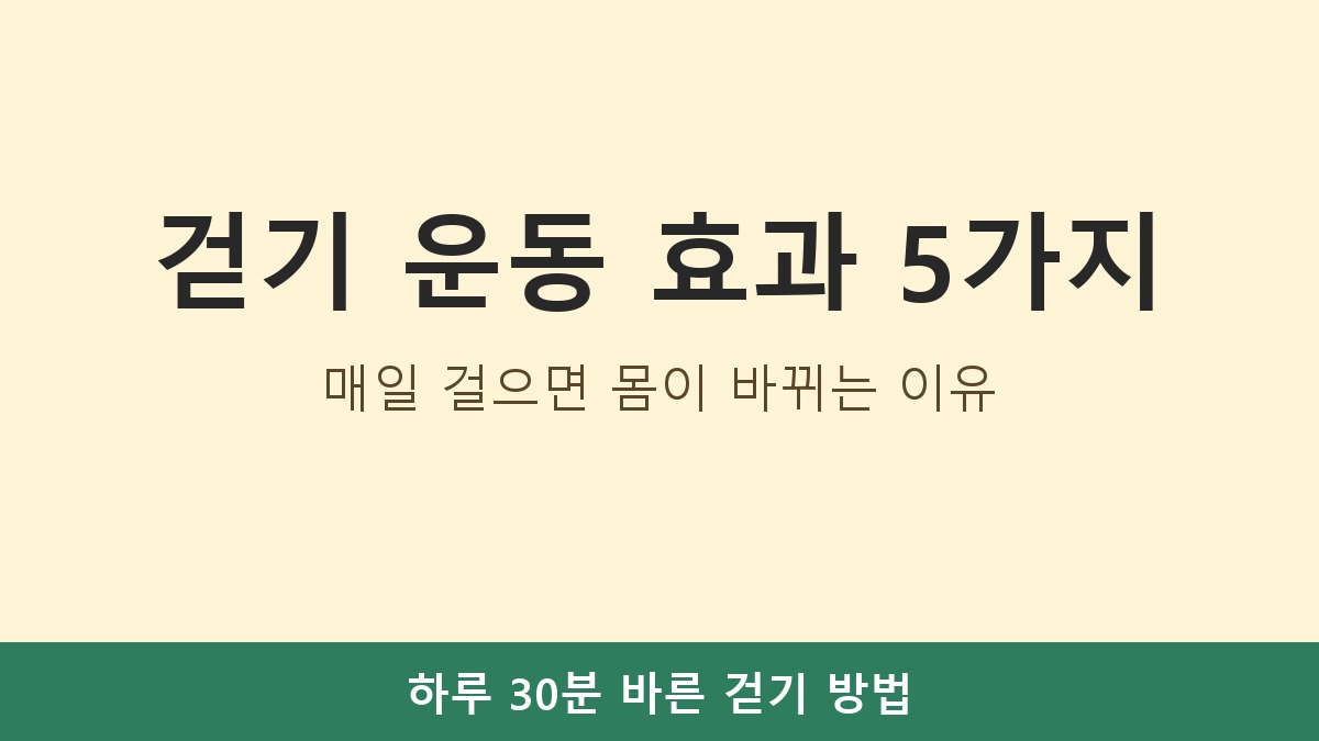 걷기 운동 효과 5가지, 매일 걸으면 몸이 바뀌는 이유
