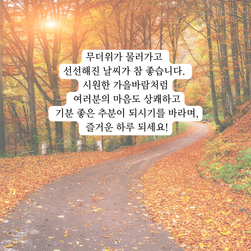 가을 인사말 추분 이미지 문구 모음집