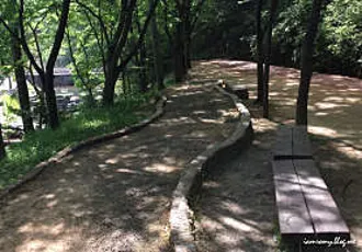 장동산림욕장