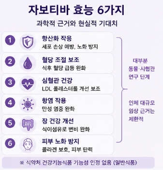 자보티바-효능-내돈내산-솔직-후기-복용방법-열매-부작용