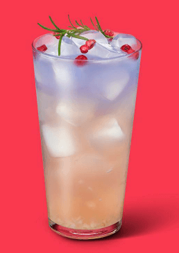 오로라-캐모마일-릴렉서