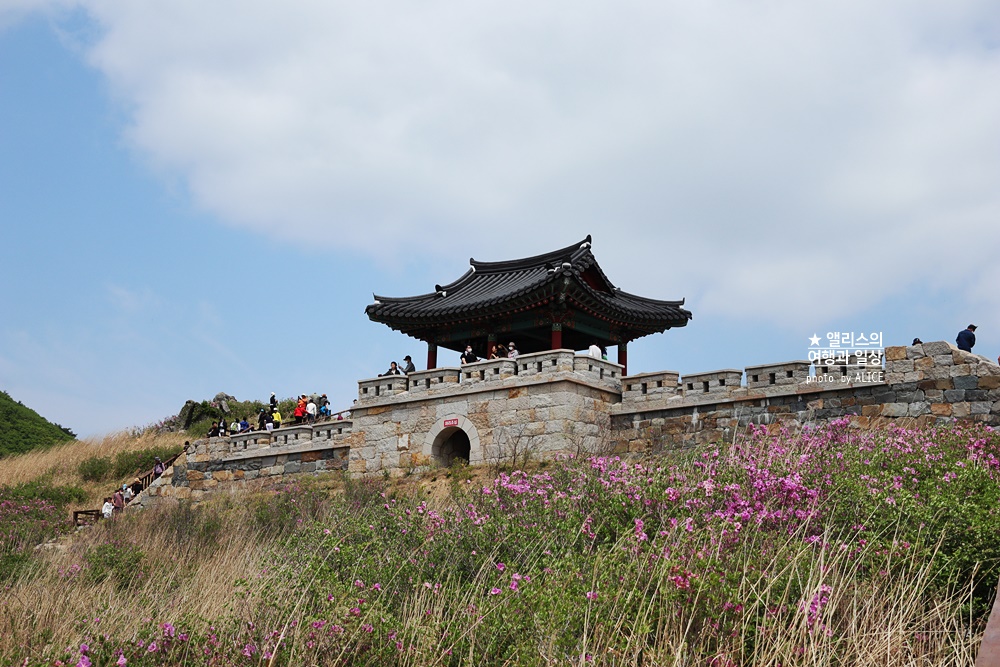 황매산 철쭉 개화시기, 셔틀버스, 산청 합천 5월 가볼만한곳