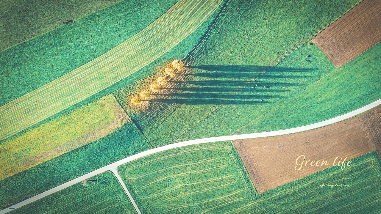 09 초록색 들판 C - Green life 초록색배경화면