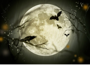 오는 17일 슈퍼문 뜨는 시간 천문대 예약하기