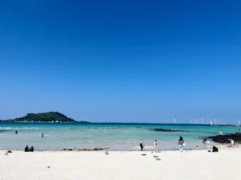 제주 협재 맛집 추천 카페와 브런치 맛집 포함_6