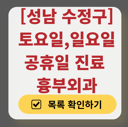 성남시 수정구 주말 토요일 일요일 흉부외과 진료 병원 목록 ❘ 공휴일 문 여는 병원 리스트 찾기