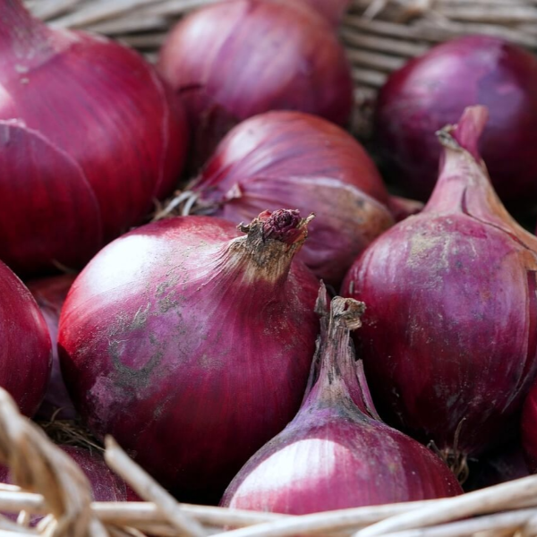 혈액순환에 좋은 음식 사진 26