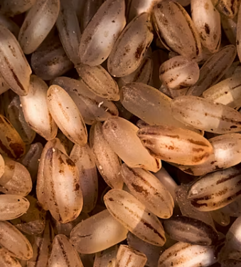 위암 초기증상 속쓰림 설사 생존율