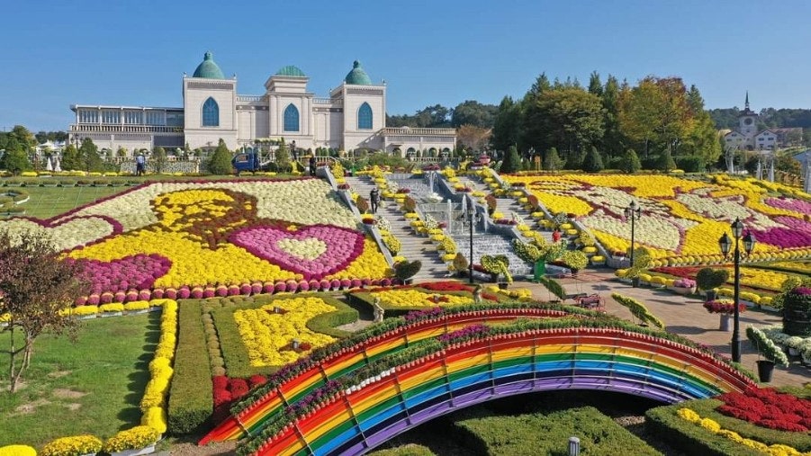 임실군 민생지원금