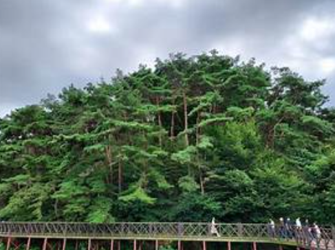 광주 독서여행으로 떠나는 문학의 길 – 한강 작가와 5월의 기억을 따라가다