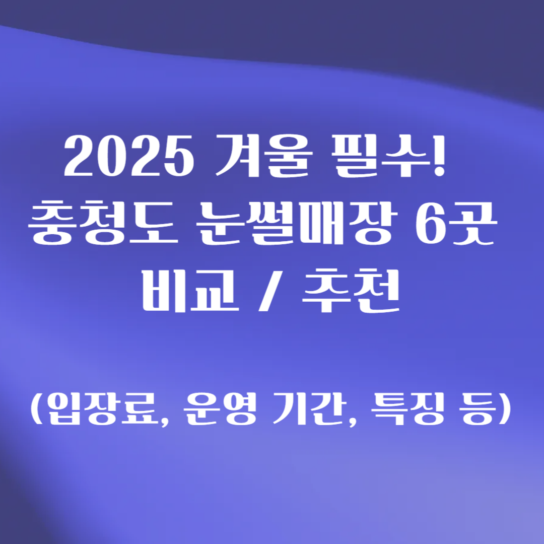 충청도 눈썰매장