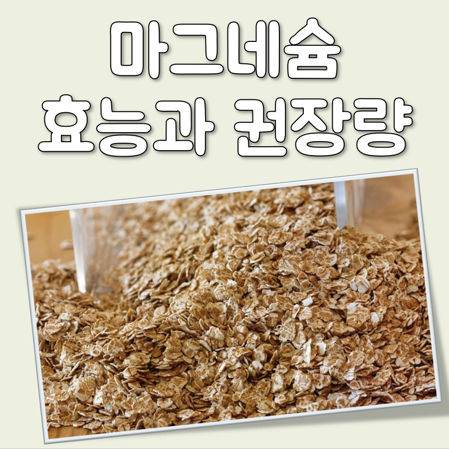 마그네슘 효능 하루 권장량 과다 부작용