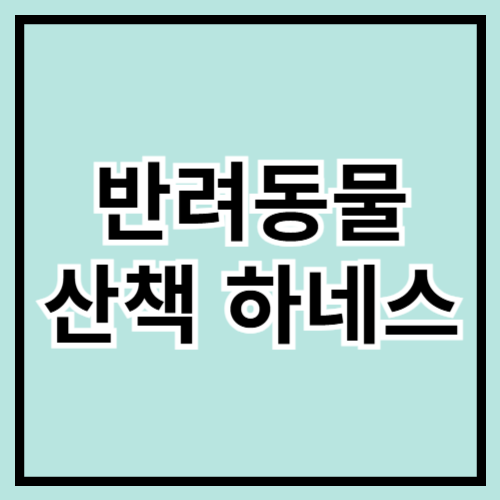 🐾 반려동물과 함께하는 즐거운 봄 산책! 🌸 하네스 추천