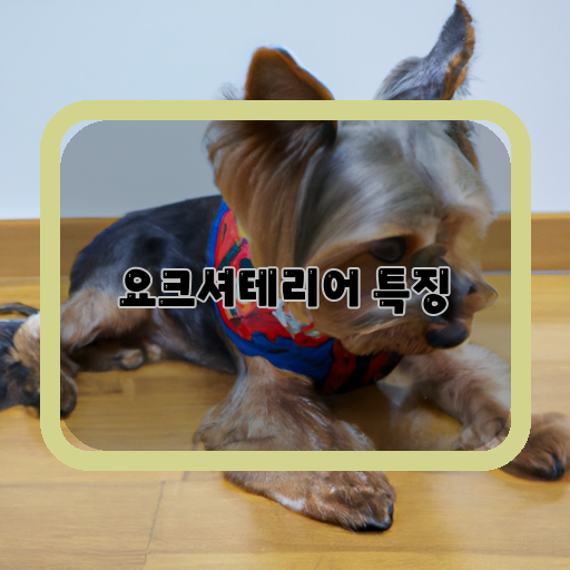 요크셔테리어-매력-특징