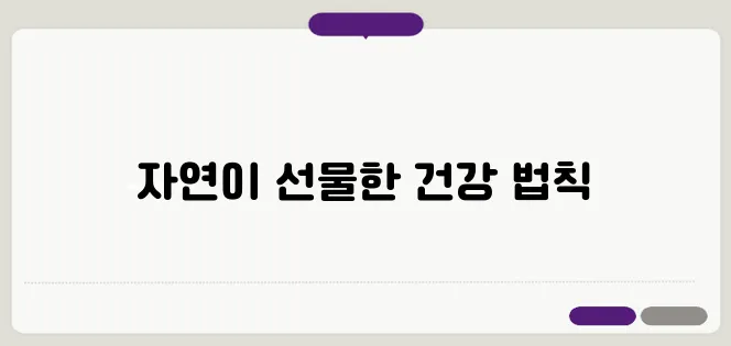 꿀의 효능 한번 정확하게 알아보도록 하죠