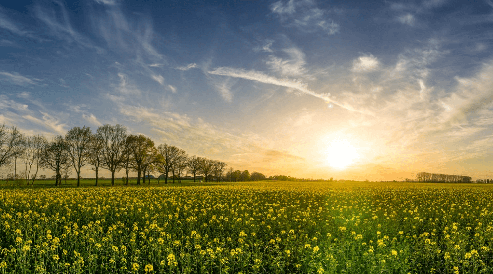 압류방지통장 2월