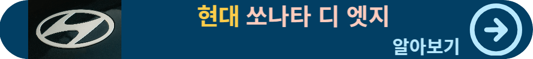 쏘나타 디 엣지