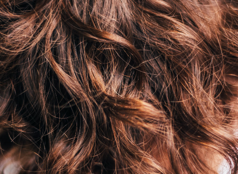 단백질 부족 증상 : 머리카락