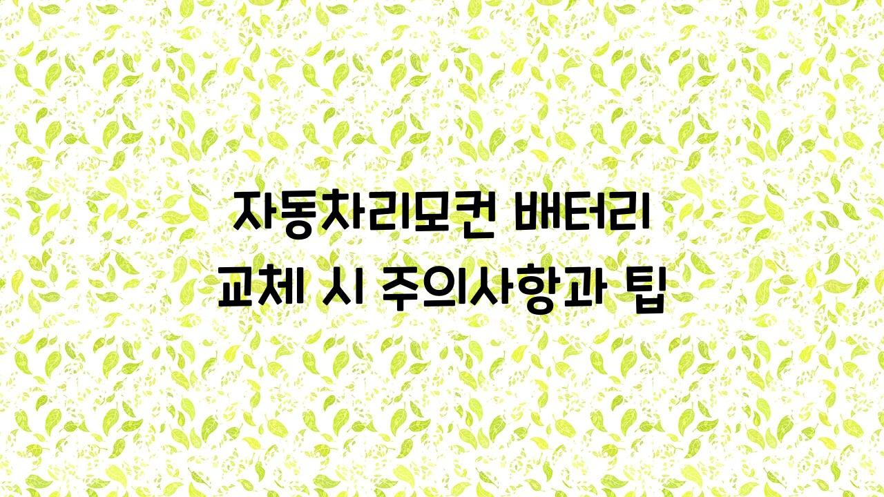 자동차리모컨 배터리