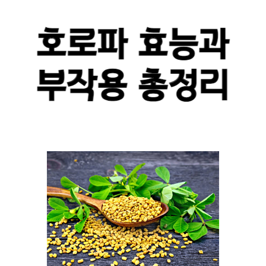 호로파 효능과 부작용