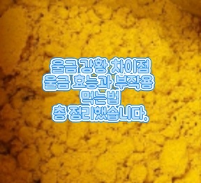 울금-환-효능-부작용