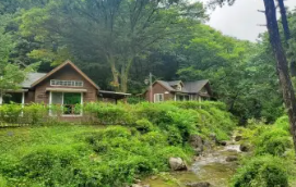 용인자연휴양림 예약