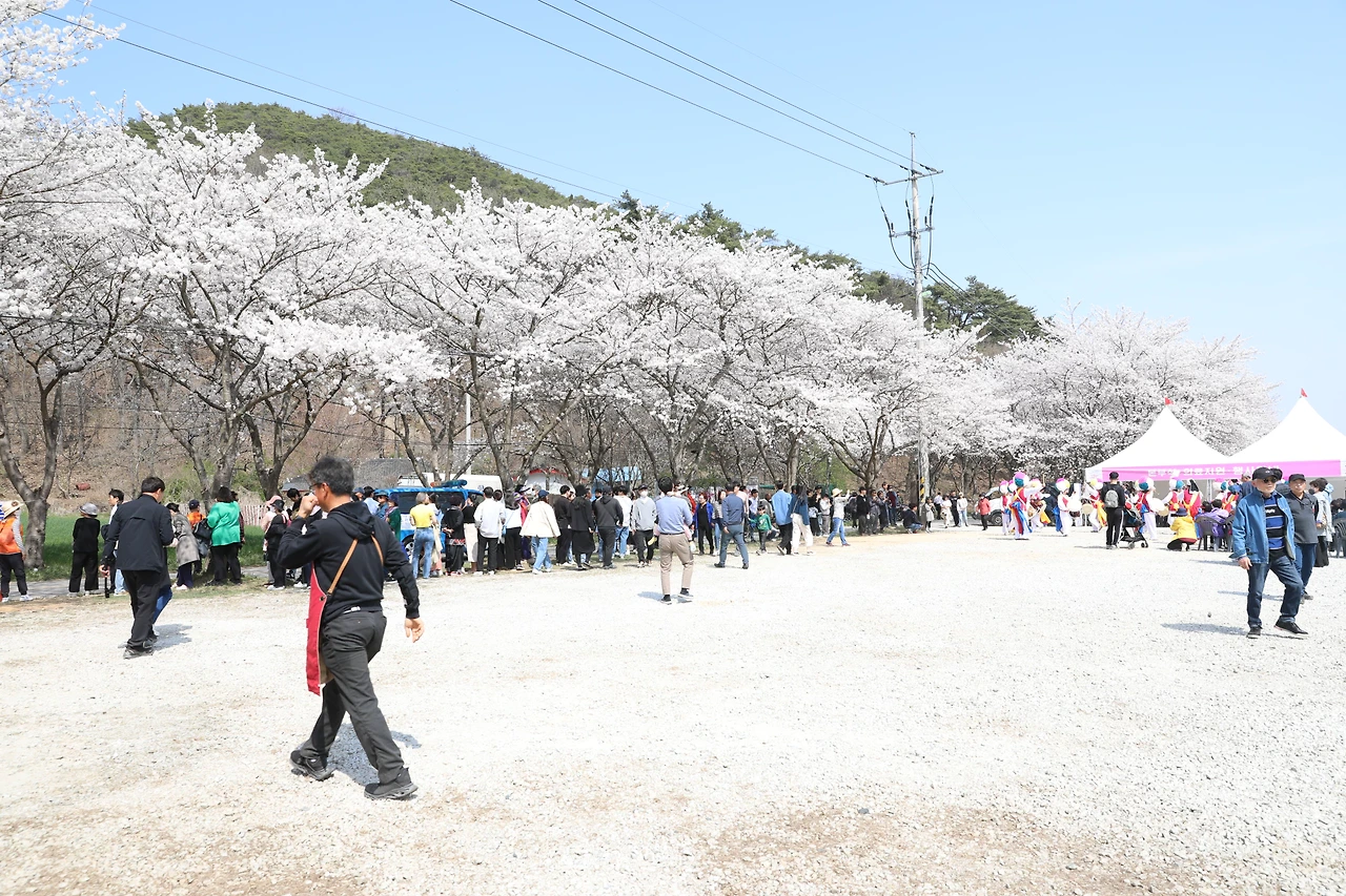 부안 변산해수욕장 오픈바·JAZZ 버스킹·비치 시네마 가이드