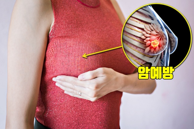 양파 껍질 효능, 유방암 항암에 좋은 차, 양파 껍질차 효능, 양파 껍질 끓인물 효능, 건강 팁줌 매일꿀정보